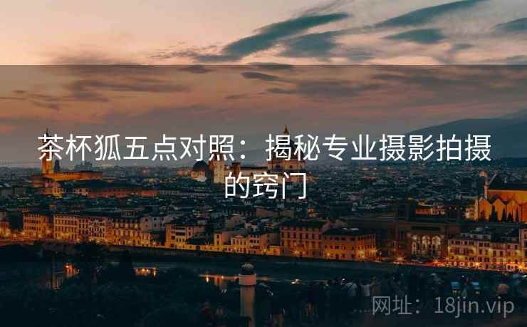 茶杯狐五点对照:揭秘专业摄影拍摄的窍门 茶杯狐五点对照:揭秘专业摄影拍摄的窍门